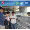 High Strength Poultry Chicken Cages for Chicken Farm